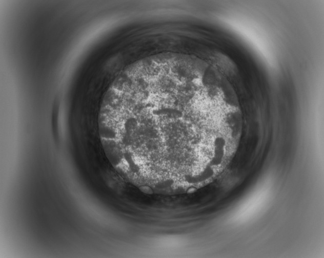 X0000096400189200802211211