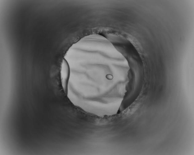 X0000096400192200802211211