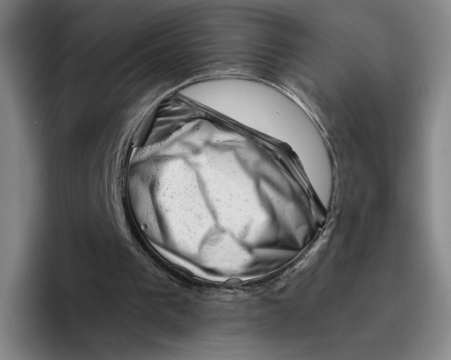 X0000096400193200802211211