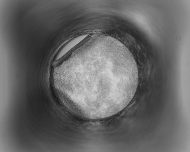 X0000096400194200802211211