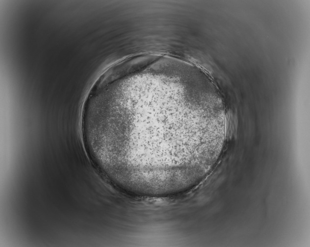 X0000096400195200802211211