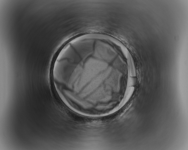 X0000096400196200802211211