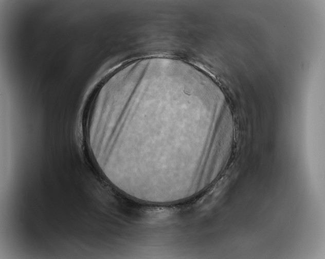 X0000096400198200802211211