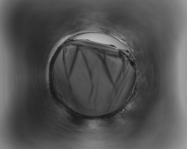 X0000096400200200802211211