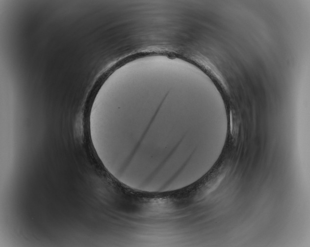 X0000096400204200802211211