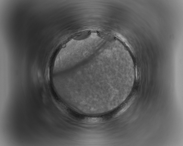 X0000096400205200802211211