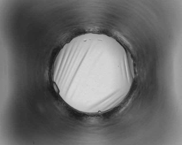 X0000096400209200802211211