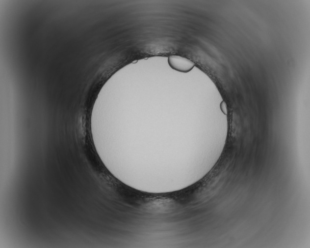 X0000096400210200802211211