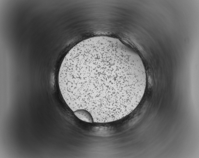 X0000096400211200802211211