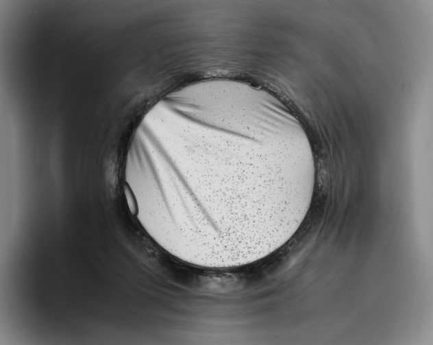 X0000096400215200802211210