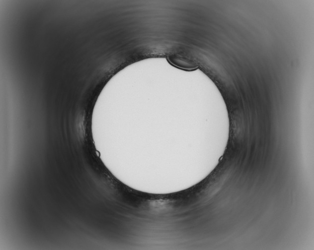 X0000096400216200802211210