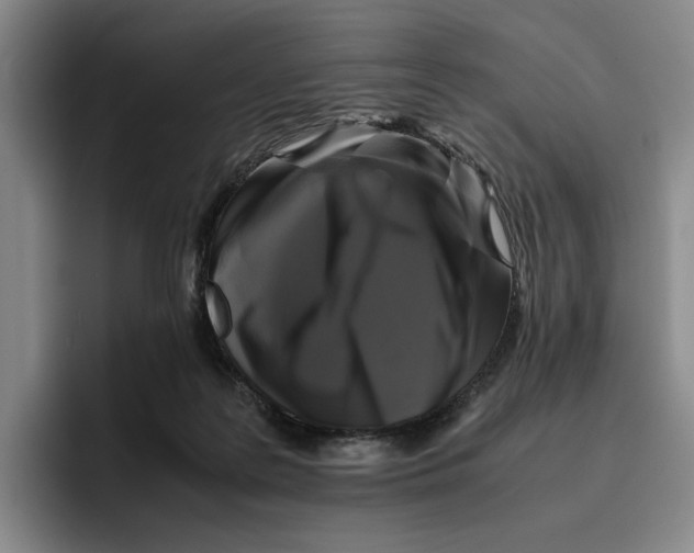 X0000096400219200802211210