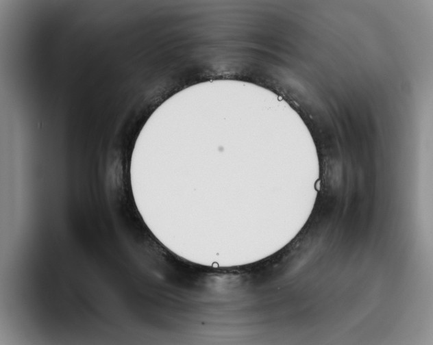 X0000096400220200802211210