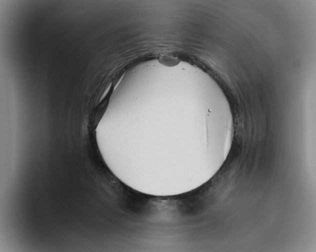 X0000096400221200802211210