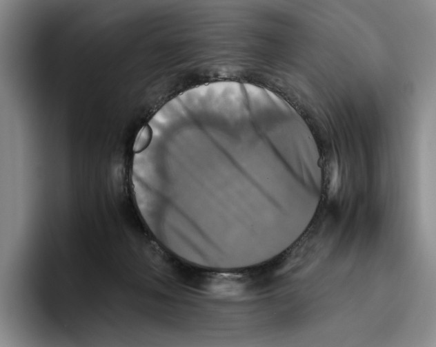 X0000096400222200802211210