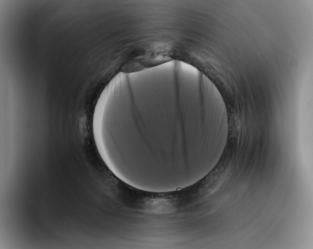 X0000096400224200802211210