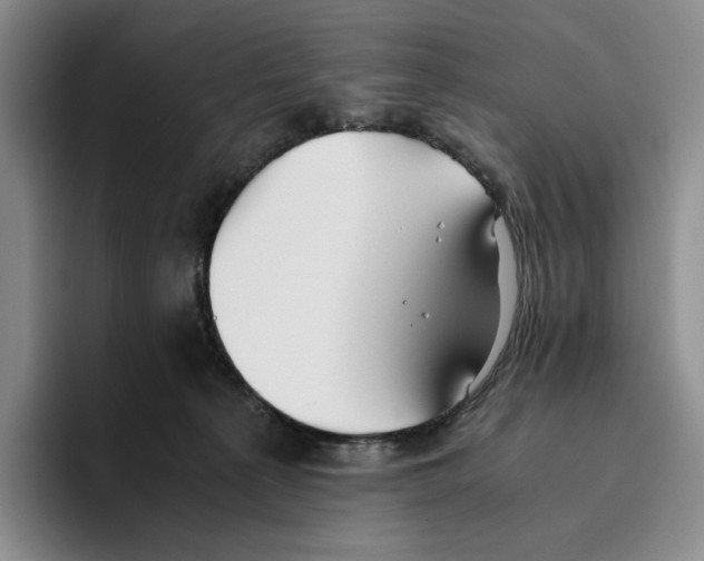 X0000096400225200802211210