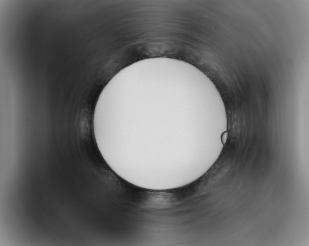 X0000096400226200802211210