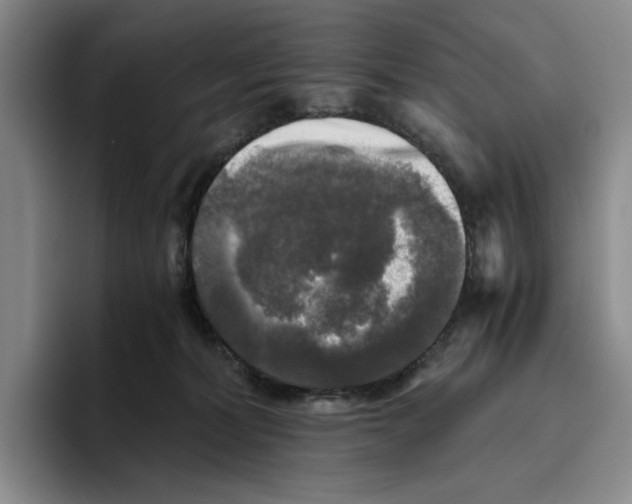 X0000096400228200802211210