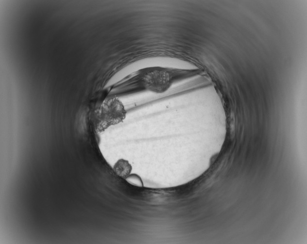 X0000096400229200802211210