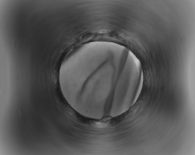 X0000096400232200802211210