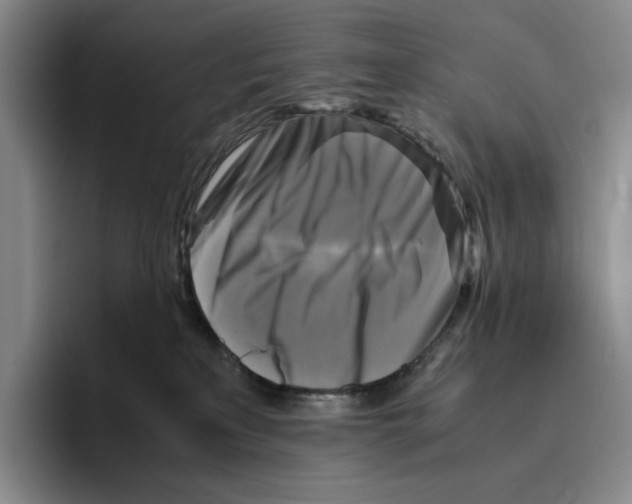 X0000096400233200802211210