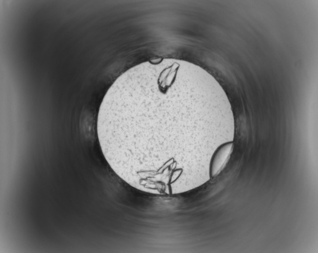 X0000096400234200802211210