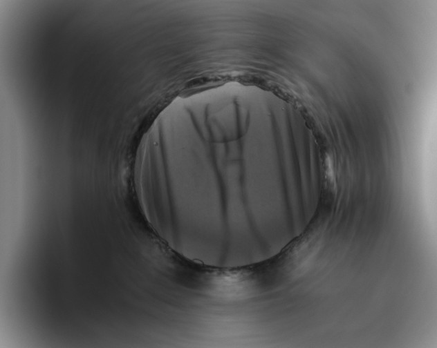 X0000096400235200802211210