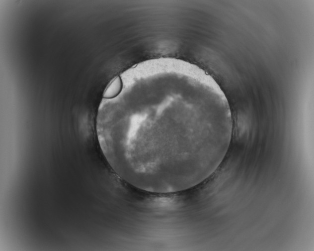 X0000096400236200802211210