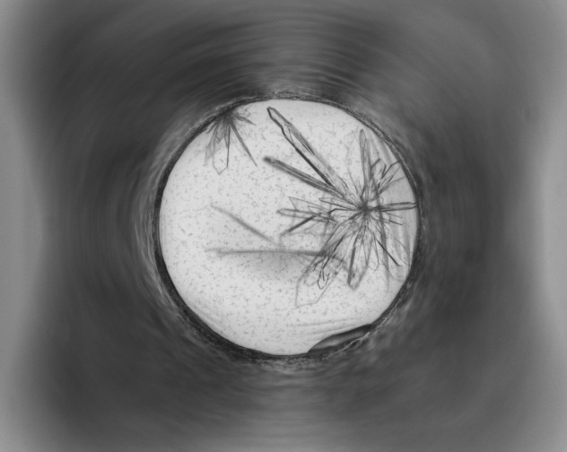 X0000096400241200802211209