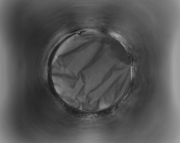 X0000096400243200802211209