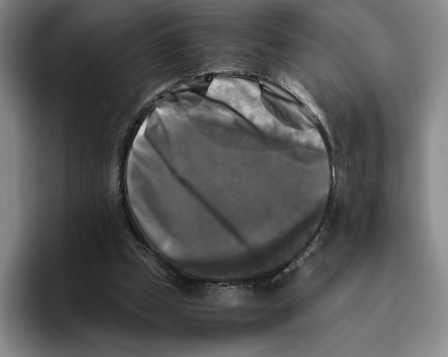 X0000096400249200802211210