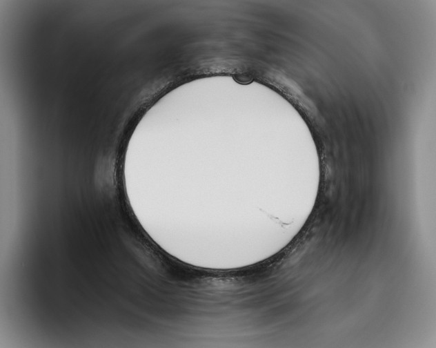 X0000096400250200802211210