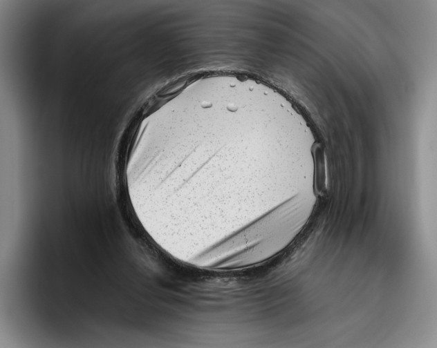 X0000096400252200802211210