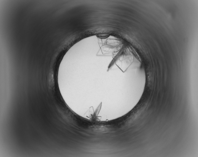 X0000096400254200802211210
