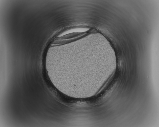 X0000096400256200802211210