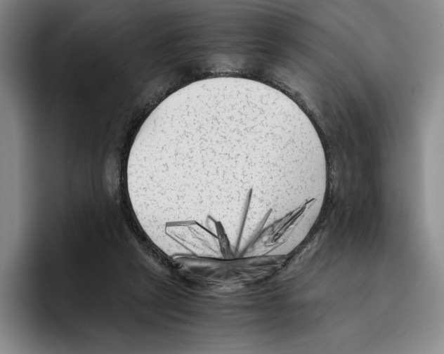 X0000096400257200802211210