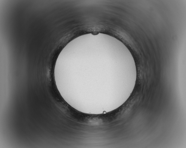 X0000096400258200802211210