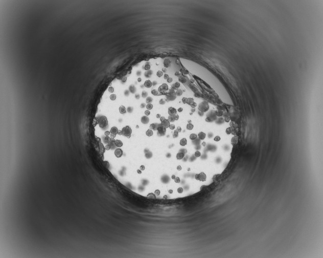 X0000096400260200802211210