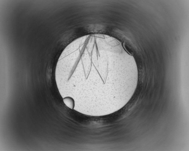 X0000096400263200802211210