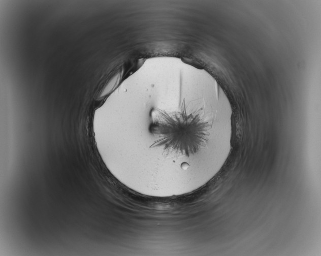 X0000096400264200802211210