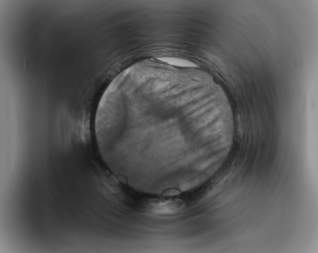 X0000096400267200802211210