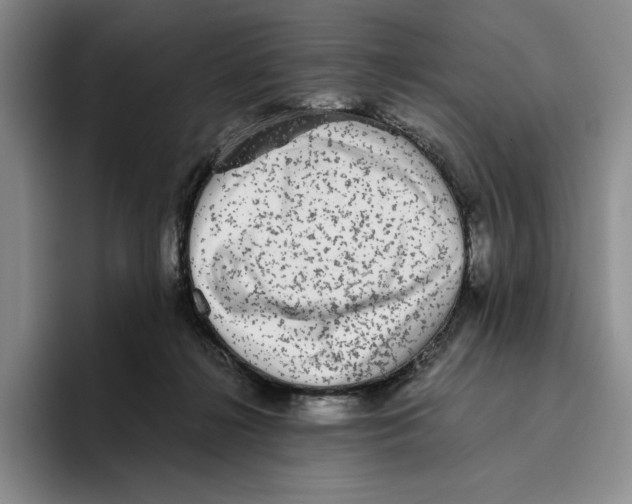 X0000096400268200802211210