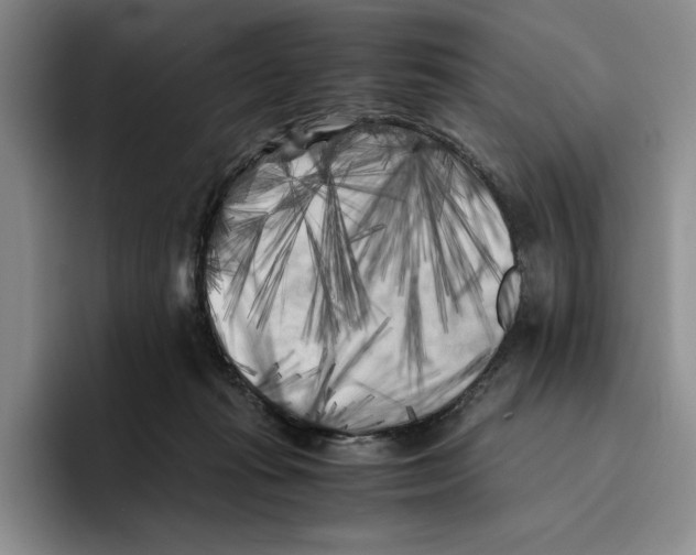 X0000096400269200802211210