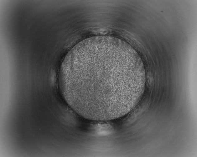 X0000096400270200802211210