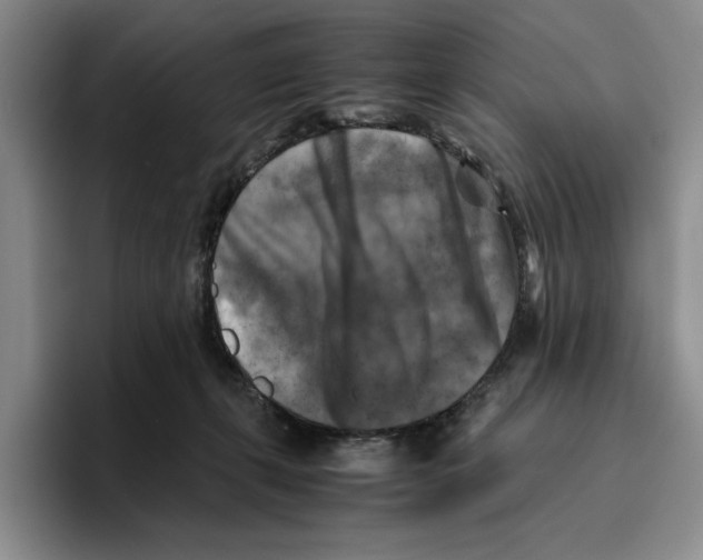 X0000096400271200802211210