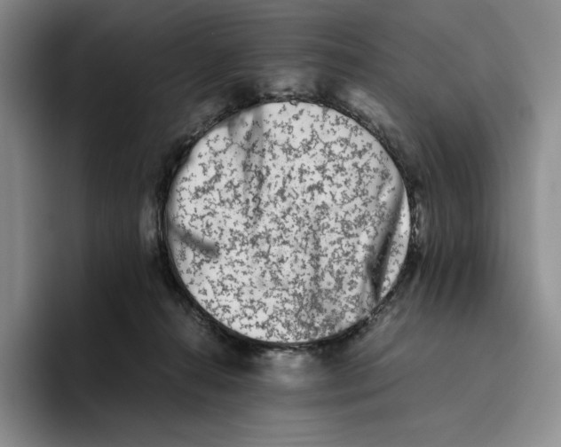 X0000096400272200802211210