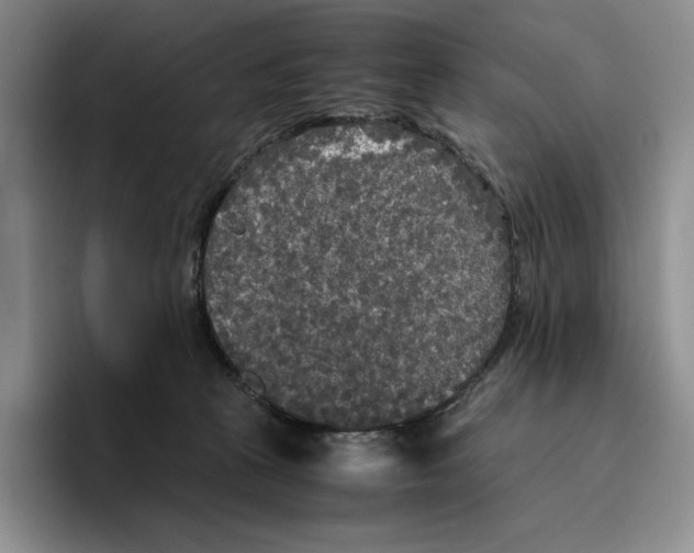 X0000096400273200802211210