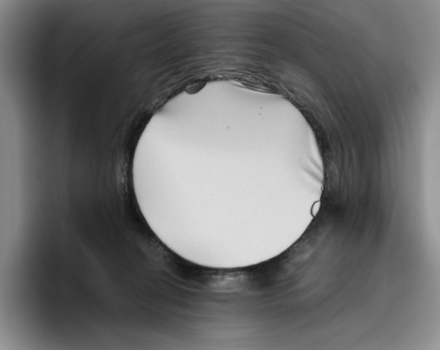 X0000096400274200802211210