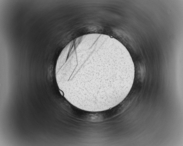 X0000096400275200802211210